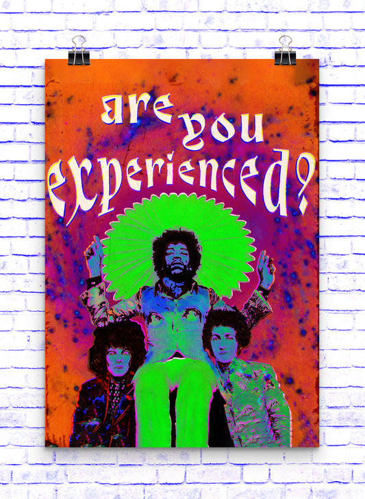 Are You Experienced? - Poster Normal A3