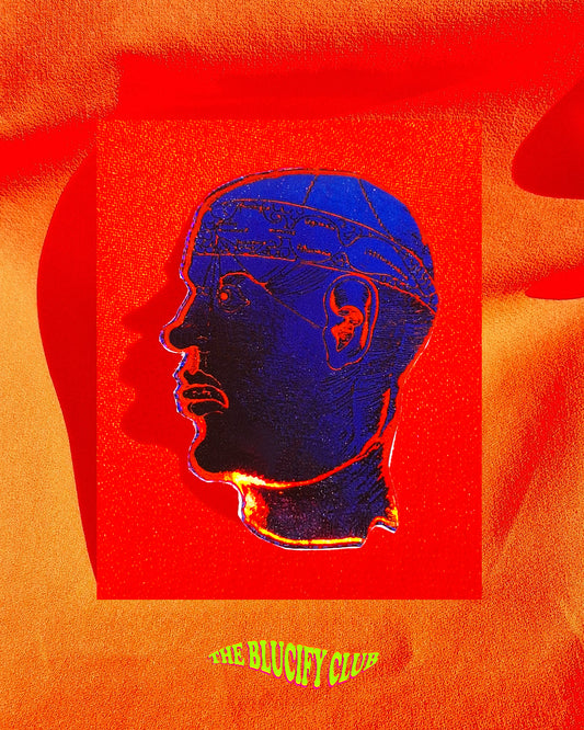 BLU HEAD HOLO STICKER