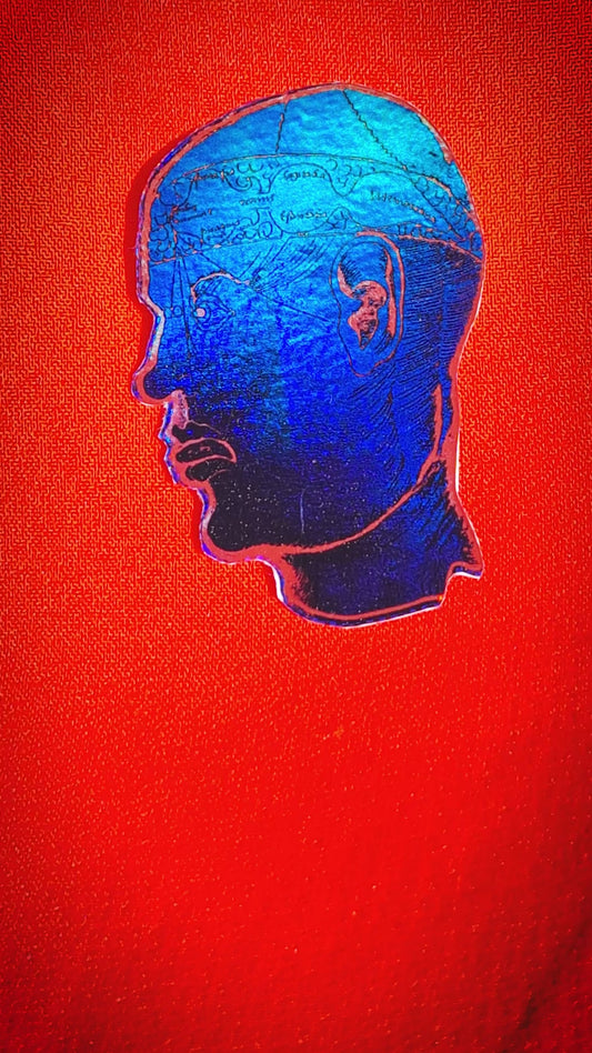 BLU HEAD HOLO STICKER